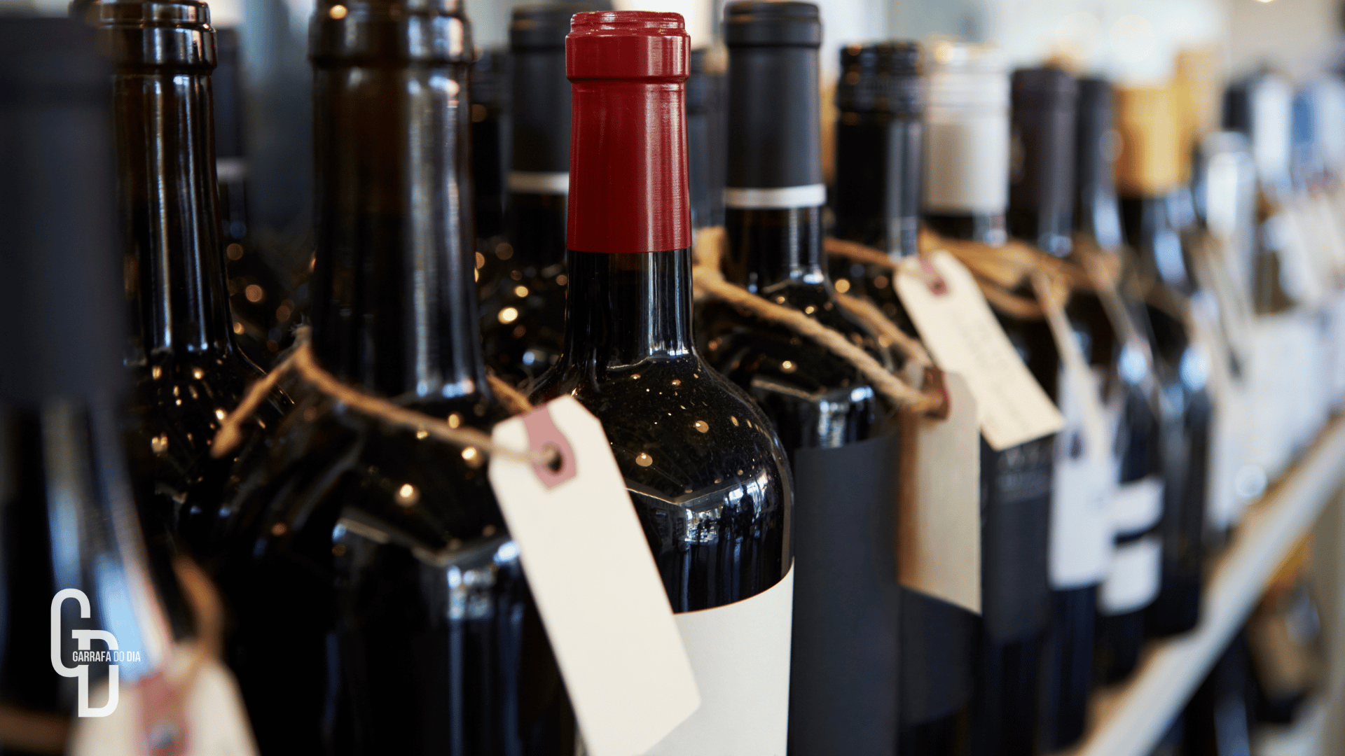 Importadoras de vinho são aliadas na escolha e acesso a rótulos de qualidade