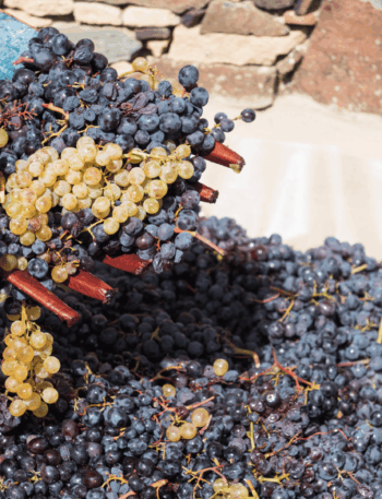 Produção mundial de vinho recua ao menor nível desde 1961