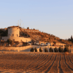 Descubra vinhos milenares em paisagens de tirar o fôlego na Turquia