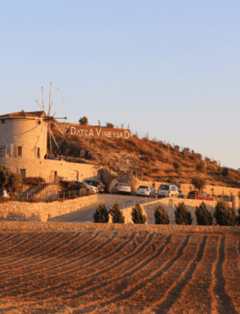 Descubra vinhos milenares em paisagens de tirar o fôlego na Turquia
