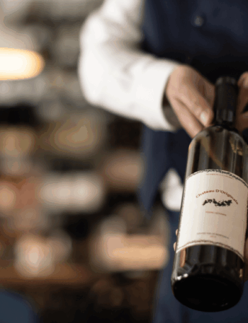 Entenda as diferenças entre vinho de mesa e vinho fino